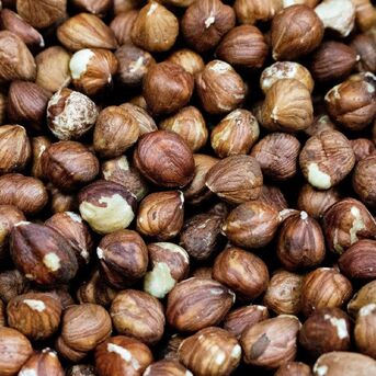 Manila, Food, Carefully Selected Hazelnuts Wholesale Lot Fresh Origin Hazelnuts For Import Markets