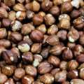 Carefully Selected Hazelnuts Wholesale Lot Fresh Origin Hazelnuts For Import Markets