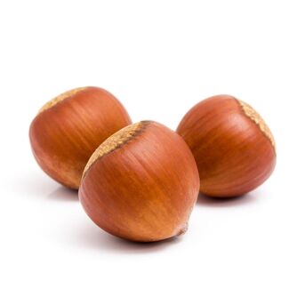 Manila, Food, Carefully Selected Hazelnuts Wholesale Lot Fresh Origin Hazelnuts For Import Markets