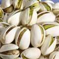 High-Quality Pistachios: Shelled & Unshelled | Wholesale & Export