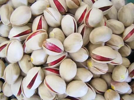 Manila, Food, High-Quality Pistachios: Shelled & Unshelled | Wholesale & Export