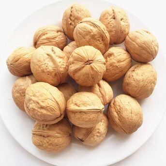 Manila, Food, WALNUTS Packaging 50 KG