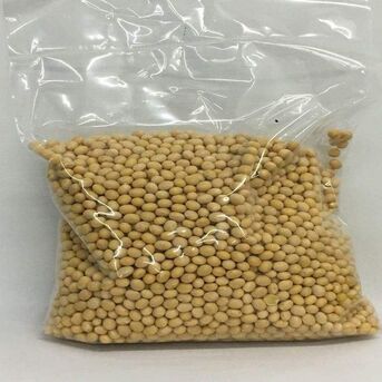 Manila, Food, Soybean Available For Sale