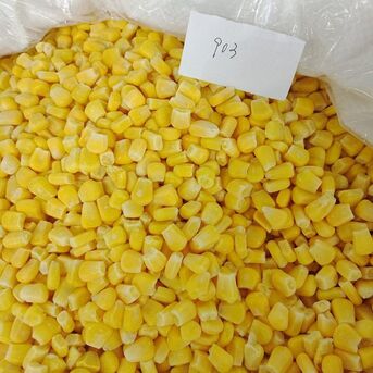 Manila, Food, Frozen Sweet Corn Kernels Place Of Origin South Africa