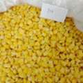 Frozen Sweet Corn Kernels Place Of Origin South Africa