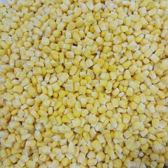 Manila, Food, Frozen Sweet Corn Kernels Place Of Origin South Africa