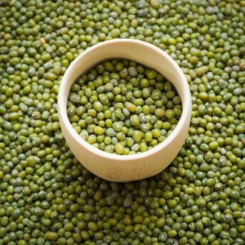 Manila, Food, Bulk Fresh Mung Beans From Trusted Farms High Quality Mung Beans Available For Export
