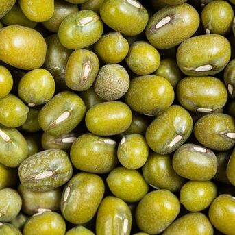 Manila, Food, Bulk Fresh Mung Beans From Trusted Farms High Quality Mung Beans Available For Export