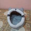 SAR 25,  Cat Bed Small
