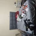 SAR 500,  Bed With Mattress