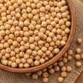 Organic Chickpeas Natural Chickpeas With Moisture Less Than 12% For Long Lasting Freshness
