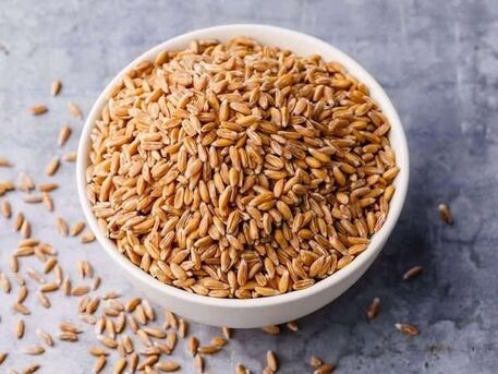 Manila, Food, Premium Quality Wheat Grains For Flour, Bakery & Food Processing | Bulk Supply