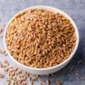 Premium Quality Wheat Grains For Flour, Bakery & Food Processing | Bulk Supply