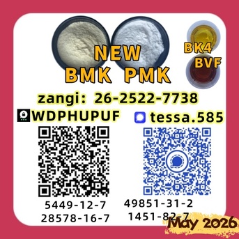 Hong Kong, Businesses For Sale, CAS 28578-16-7 PMK Ethyl Glycidate Powder 99% High Purity   Fast Shipping  5449-12-7 BMK