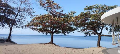 Manila, Real Estate For Sale, PHP 11517300,  Studio,  38 Sq. Meter,  Beachfront Condominium At THE NAUTILUS