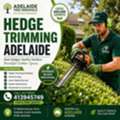 Reliable Hedge Trimming Adelaide Services For Neat Outdoor Spaces