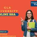 Build A Resilient Career: Gla University Online BBA