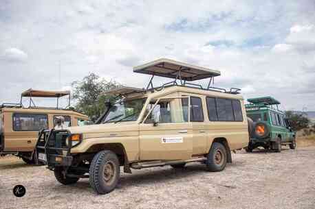 Nairobi, Travel, 4-Day Big Five Kenya Safari: Lake Nakuru & Masai Mara From $1,400 | Ketsafaris