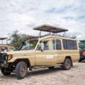 4-Day Big Five Kenya Safari: Lake Nakuru & Masai Mara From $1,400 | Ketsafaris
