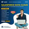 Salesforce Data Cloud Training Online | Corporate Training