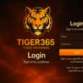 Tiger365 Login &ndash; How To Access Your Account Quickly And Securely