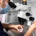 Top IVF Abu Dhabi Clinic For Parenthood Journey