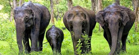 Chennai, Travel, Tamilnadu Tourism