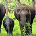 Tamilnadu Tourism