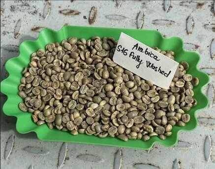 Manila, Food, New Crop Arabica Coffee Beans/green Coffee ROBUSTA COFFEE BEANS/ Robusta Export Quality