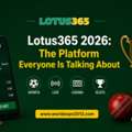 Lotus365 2026: The Platform Everyone Is Talking About