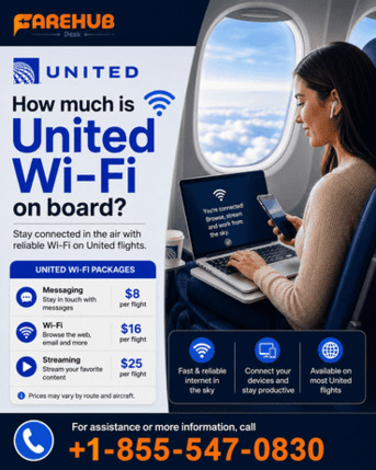New York, Travel, How Much Is United Wi-Fi On Board?