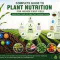 Premium Water Soluble Fertilizer Supplier For Modern Farming