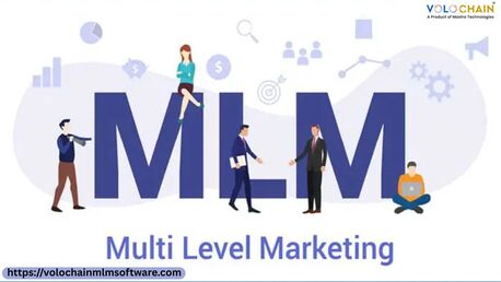 Noida, Software Development, Enhance Sales With Best Multilevel Marketing Software In India