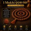Rudraksha Shop In Hyderabad