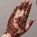 Organic Hands Henna Cones