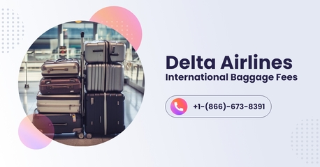 New York, Travel, How Much Is Extra Baggage On Delta International Flights