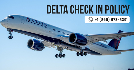New York, Travel, ¿Cuándo Se Puede Hacer El Check-In En Delta Airlines?