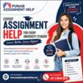 Punjab Assignment Help: Your Ultimate Academic Success Partner