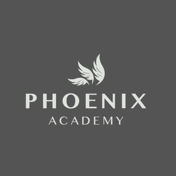 Copenhagen, Business, Professional Individual Coaching - Phoenix Academy