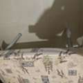 SAR 250,  IKEA Study And Work Tables - 2