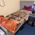 SAR 250,  New Bed And Matress For Sale