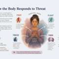 How To Heal From Sexual Trauma | Expert Therapy & Emotional Recovery