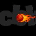 Cricbites: Number One Stop For Cricket Highlights & Stories