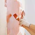 Reliable And Affordable Painting Company In St. Albert
