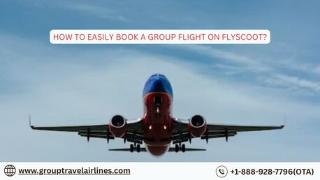 New York, Travel, How To Easily Book A Group Flight On Flyscoot?