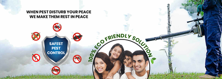 Gurugram, Pest Control, Professional Pest Control Services Near You | Pest Cure