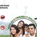 Professional Pest Control Services Near You | Pest Cure