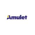 Intelligent Digital Display Modules For Embedded Products