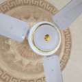 SAR 250,  2 Ceiling Fan