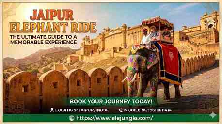 Jaipur, Travel, The Ultimate Guide To A Majestic Jaipur Elephant Ride At Amber Fort